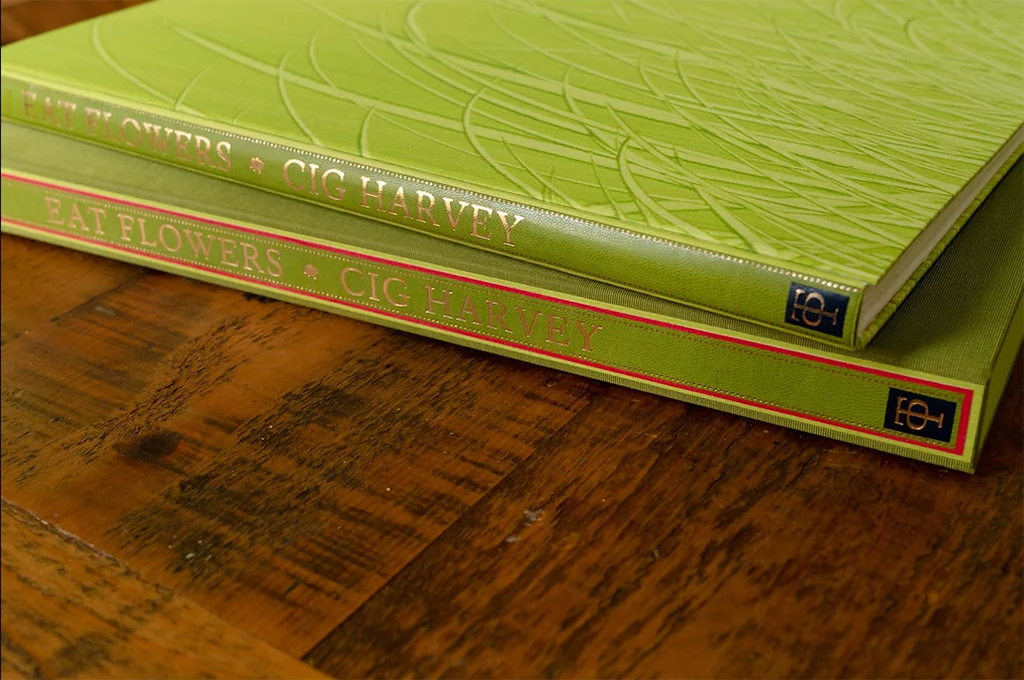 Books — Cig Harvey